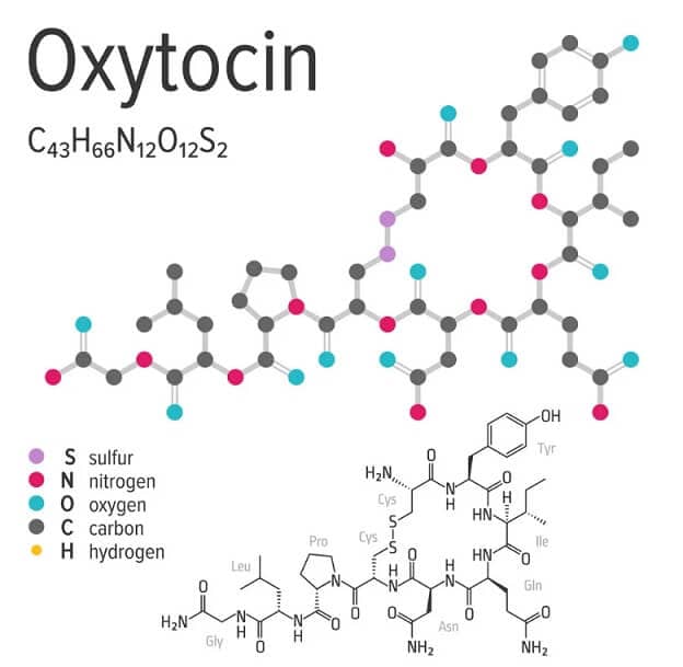 chemical-formula-of-the-oxytocin-molecule