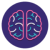 brain 120×120 Αλληλεπιδράσεις